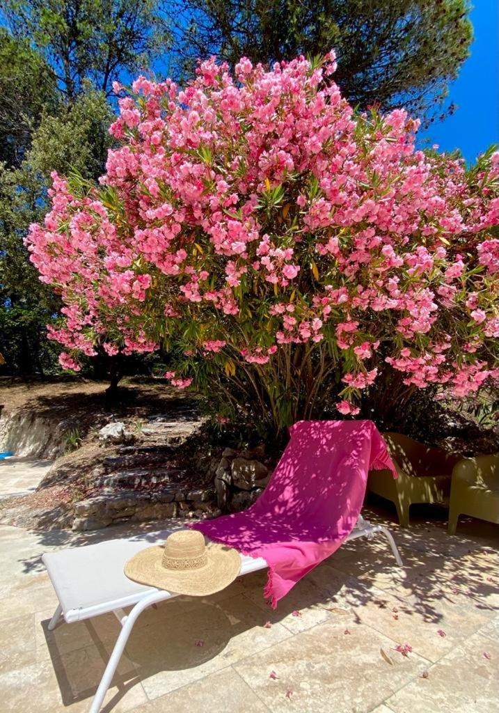 La Bastide Blanche Magnifique Villa 5 Etoiles 5 Chambres Et Piscine Privee Sur 6500 M Var Lorgues Dış mekan fotoğraf