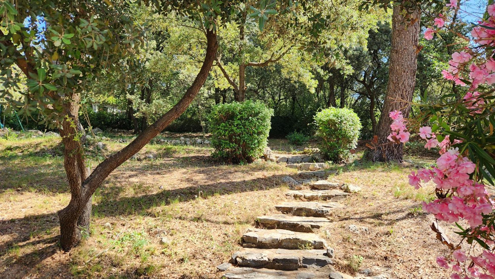 La Bastide Blanche Magnifique Villa 5 Etoiles 5 Chambres Et Piscine Privee Sur 6500 M Var Lorgues Dış mekan fotoğraf